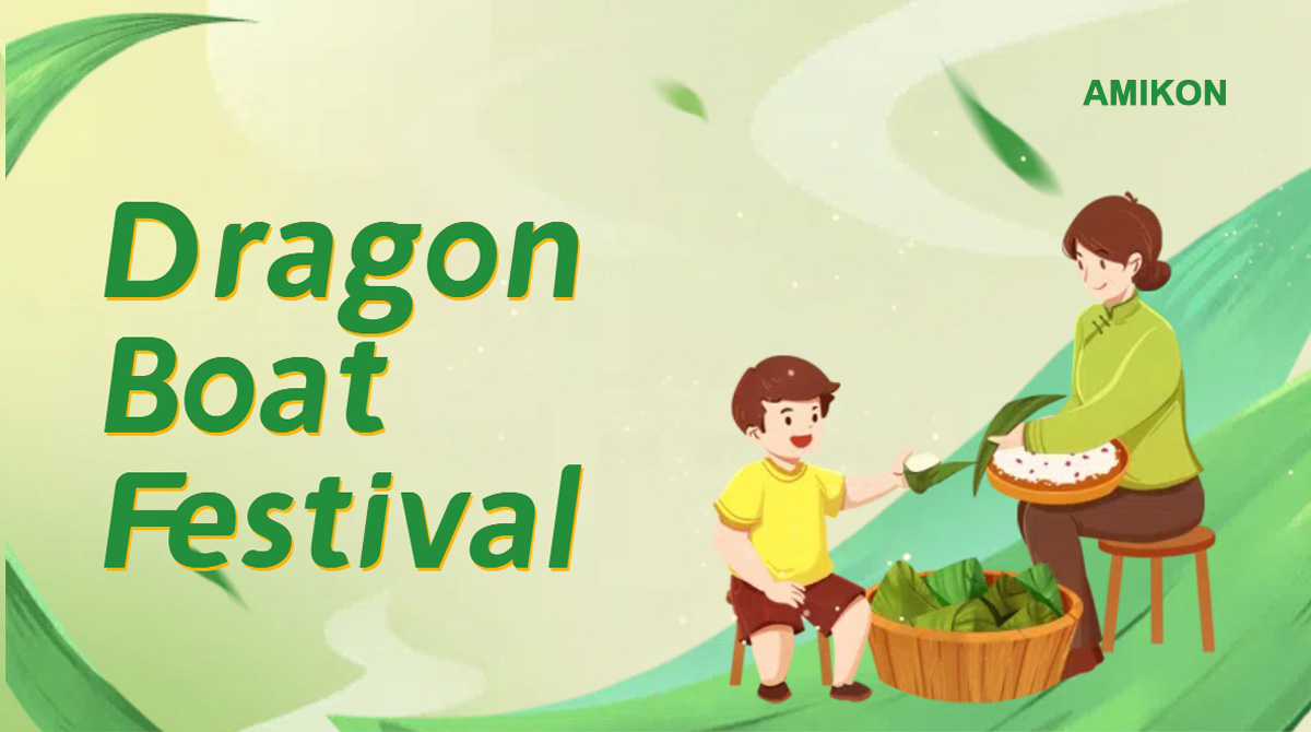 Festival des bateaux-dragons
    