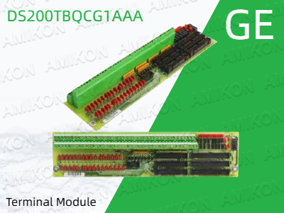 Guide complet du module terminal GE DS200TBQCG1AAA